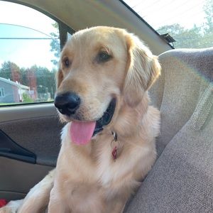 Meet your Posher, Julia